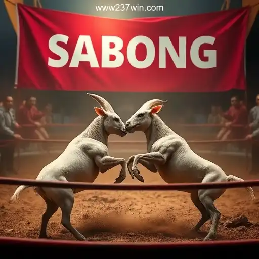 O Fascinante Mundo dos Jogos de Sabong